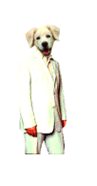 Diplom