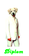 Diplom