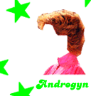 Androgyn